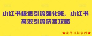 小红书极速引流强化班,小红书高效引流获客攻略-流年日记
