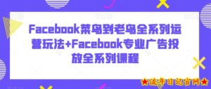 Facebook菜鸟到老鸟全系列运营玩法+Facebook专业广告投放全系列课程-流年日记