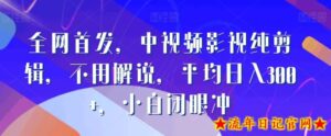 全网首发,中视频影视纯剪辑,不用解说,平均日入300+,小白闭眼冲-流年日记