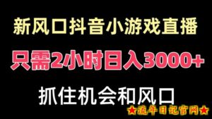 新风口抖音小游戏直播,每天只需2小时,日入3000+,小白直接上手-流年日记