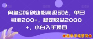 闲鱼引流创业粉高级玩法,单日引流200+,稳定收益2000+,小白入手项目-流年日记