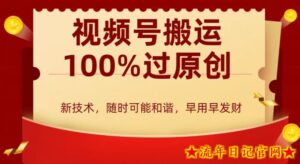 外边收费599创作者分成计划,视频号搬运100%过原创,新技术,适合零基础小白,月入两万+【揭秘】-流年日记