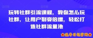 玩转社群引流课程，教你怎么玩社群，让用户裂变倍增，轻松打造社群流量池-流年日记