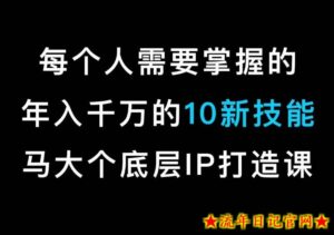 马大个的IP底层逻辑课,每个人需要掌握的年入千万的10新技能,约会底层IP打造方法!-流年日记