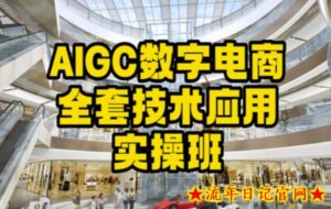 AIGC数字电商全套技术应用实操班,轻松打造高效电商-流年日记