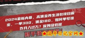 2024最新内幕，高佣金养生汤包项目解密，一单300，佣金180，如何单号操作月入过万？保姆级教程-流年日记