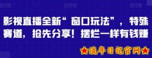 影视直播全新“窗口玩法”,特殊赛道,抢先分享!摆烂一样有钱赚-流年日记