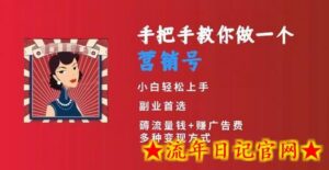 手把手教你做一个营销号,小白短视频创业首选,从做一个营销号开始,日入300+-流年日记