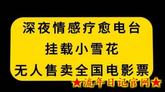 深夜情感疗愈电台，挂载小雪花，无人售卖全国电影票-流年日记