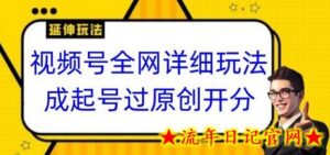 视频号全网最详细玩法,起号过原创开分成,单号日入300+-流年日记