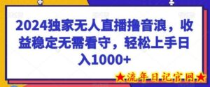 2024独家无人直播撸音浪,收益稳定无需看守,轻松上手日入1000+-流年日记
