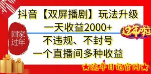 抖音【双屏播剧】玩法升级,一天收益2000+,不违规、不封号,一个直播间多种收益-流年日记