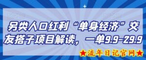 另类人口红利“单身经济”交友搭子项目解读,一单9.9-29.9-流年日记