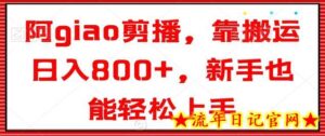 阿giao剪播,靠搬运日入800+,新手也能轻松上手-流年日记