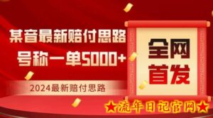 全网首发,2024最新抖音赔付项目,号称一单5000+保姆级拆解-流年日记