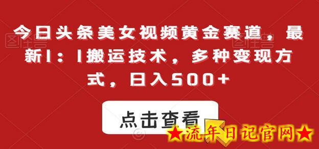 今日头条美女视频黄金赛道，最新1：1搬运技术，多种变现方式，日入500+-流年日记