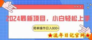 2024最新项目，红娘项目，简单操作轻松日入800+-流年日记