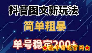 抖音图文流量变现,抖音图文新玩法,日入200+-流年日记