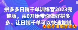 拼多多日销千单训练营2023完整版，从0开始带你做好拼多多，让日销千单可以快速复制-流年日记