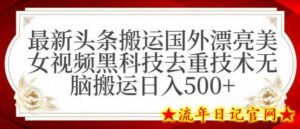 最新头条搬运国外漂亮美女视频黑科技去重技术无脑搬运日入500+-流年日记