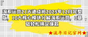 淘系运营21天速成班2023年12月完整版,10大核心模块分解淘系运营,0基础轻松搞定爆款-流年日记