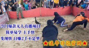 冷门爆款无人直播项目，简单易学上手快，变现快日赚2千不是梦-流年日记