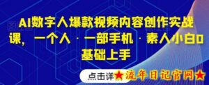 AI数字人爆款视频内容创作实战课,一个人·一部手机·素人小白0基础上手-流年日记
