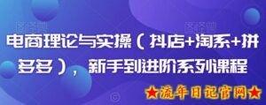 电商理论与实操(抖店+淘系+拼多多),新手到进阶系列课程-流年日记