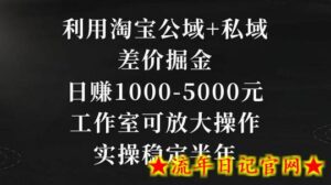 利用淘宝公域+私域差价掘金，日赚1000-5000元，工作室可放大操作，实操稳定半年-流年日记