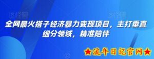 全网最火搭子经济暴力变现项目，主打垂直细分领域，精准陪伴-流年日记