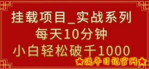 挂载项目，小白轻松破1000，每天10分钟，实战系列保姆级教程-流年日记