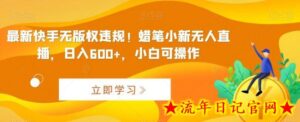最新快手无版权违规!蜡笔小新无人直播,日入600+,小白可操作-流年日记