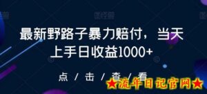 最新野路子暴力赔付,当天上手日收益1000+-流年日记