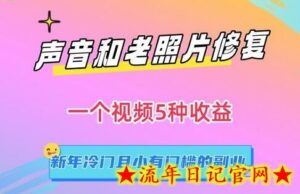 声音和老照片修复,一个视频5种收益,新年冷门且小有门槛的副业-流年日记
