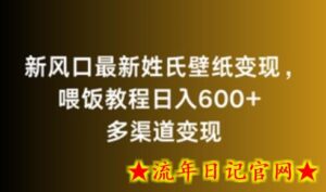 新风口最新姓氏壁纸变现,喂饭教程日入600+-流年日记
