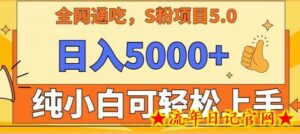男粉项目5.0,最新野路子,纯小白可操作,有手就行,无脑照抄,纯保姆教学-流年日记