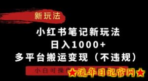 小红书笔记新玩法,日入1000+,多平台搬运变现(不违规),小白可操作,保姆级教程-流年日记