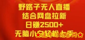 野路子无人直播结合网盘拉新,日赚2500+,小白无脑轻松上手-流年日记