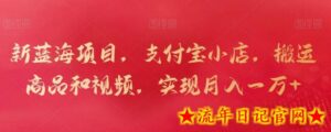 新蓝海项目，支付宝小店，搬运商品和视频，实现月入一万+-流年日记