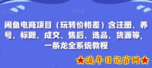 闲鱼电商项目(玩转价格差)含注册、养号、标题、成交、售后、选品、货源等,一条龙全系统教程-流年日记