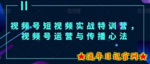 视频号短视频实战特训营，视频号运营与传播心法-流年日记
