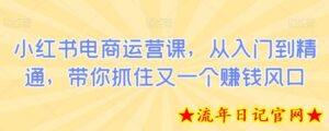 小红书电商运营课,从入门到精通,带你抓住又一个赚钱风口-流年日记