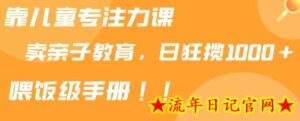 靠儿童专注力课程售卖亲子育儿课程,日暴力狂揽1000+,喂饭手册分享-流年日记
