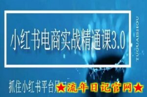 小红书电商实战精通课3.0,抓住小红书平台的风口,不错过有一个赚钱的机会-流年日记