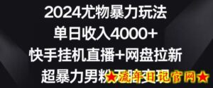 2024尤物暴力玩法,单日收入4000+,快手挂机直播+网盘拉新,超暴力男粉无脑变现-流年日记