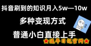 抖音刷到的知识，每天只需2小时，日入2000+，暴力变现，普通小白直接上手-流年日记