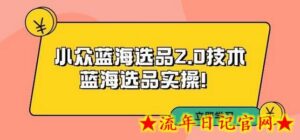 拼多多培训第33期:小众蓝海选品2.0技术-蓝海选品实操!-流年日记