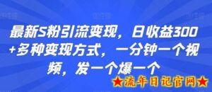 最新S粉引流变现,日收益300+多种变现方式,一分钟一个视频,发一个爆一个-流年日记