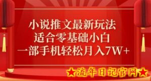 小说推文最新真人哭玩法,适合零基础小白,一部手机轻松月入7W+-流年日记