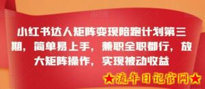 小红书达人矩阵变现陪跑计划第三期,简单易上手,兼职全职都行,放大矩阵操作,实现被动收益-流年日记